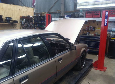 Cabba Auto Electrics - Renee 3