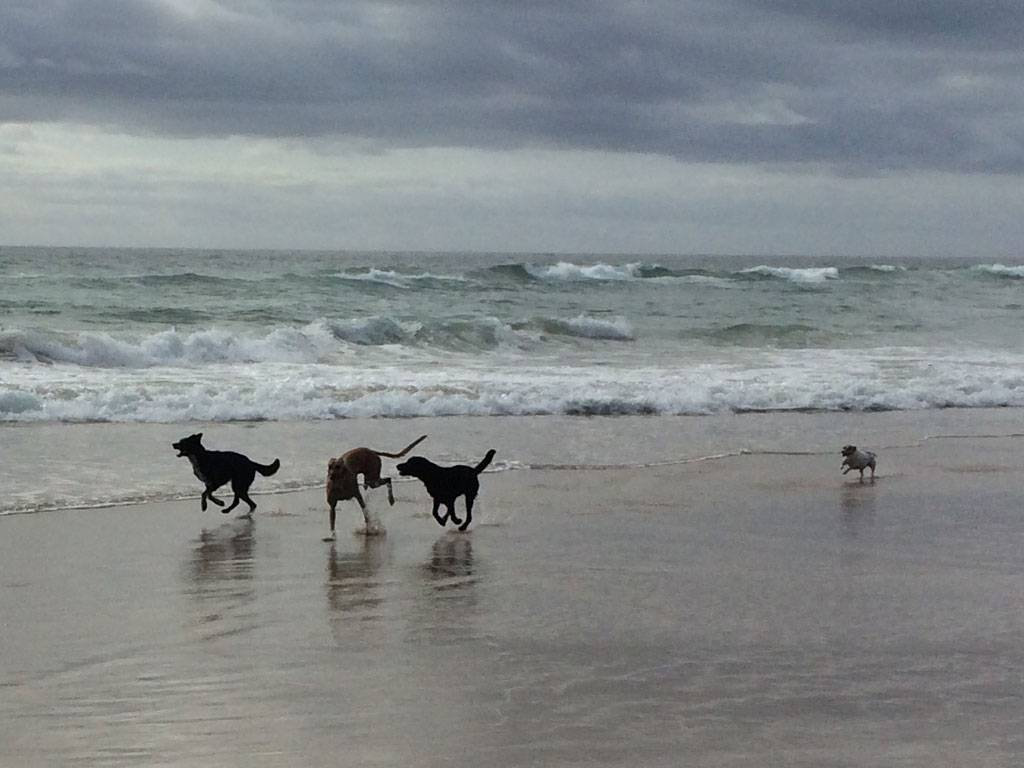 Tregeagle NSW Internet Find