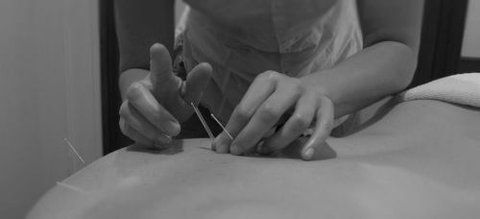 Family Wellness Chiropractic - Renee 3