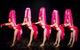 Hollywood Showgirls Nightclub - thumb 1