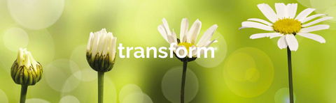 Achieve Business Dynamics - Renee 1