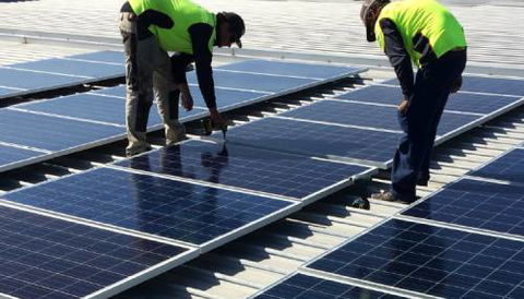 SuperGreen Solutions - Renee 1