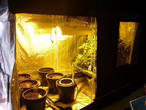 HydroCentre Hydroponics - Internet Find 0