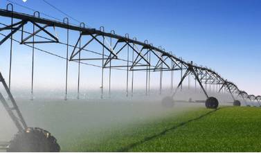 Better Pool & Irrigation Supplies - Renee 2