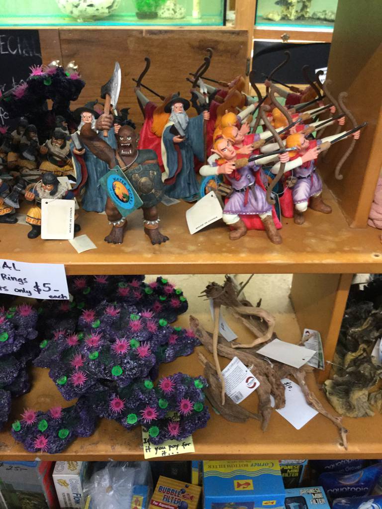 Aquariums Accessories Aeroglen QLD Petrol Stations