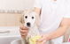 All Pet Stop - thumb 0