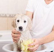 All Pet Stop - Renee