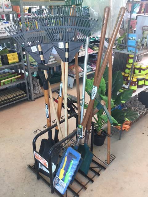 Wholesale Nurseries Renee