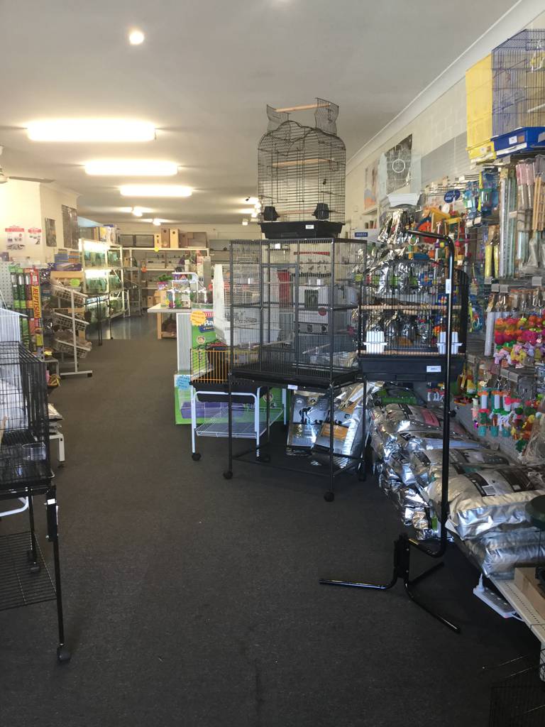 Pet Shops Toormina NSW Internet Find
