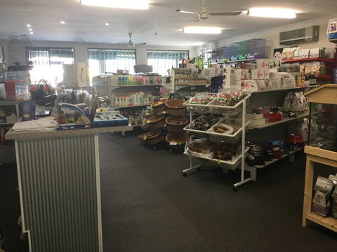 Coffs Coast Pets - Renee 2