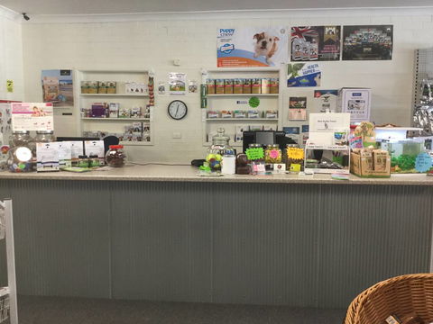 Coffs Coast Pets - Renee 3