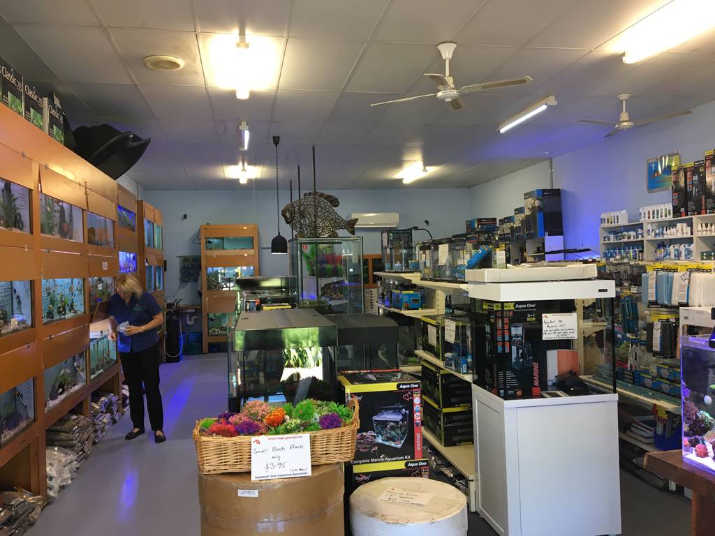 Car Accessories Port Macquarie NSW Renee