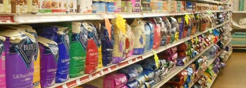 Motorcycle Sales Accessories Salamander Bay NSW Renee