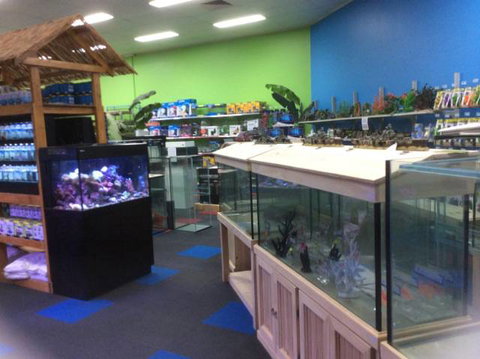 Rocky Pet World - Renee 1