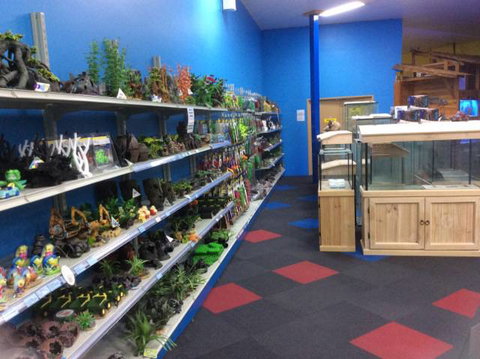 Rocky Pet World - Renee 2