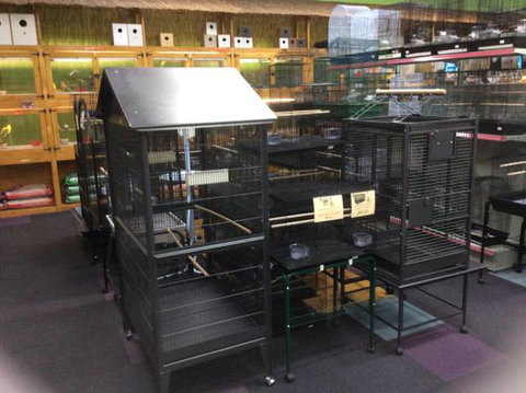 Rocky Pet World - Renee 3