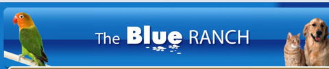 The Blue Ranch - Renee 4