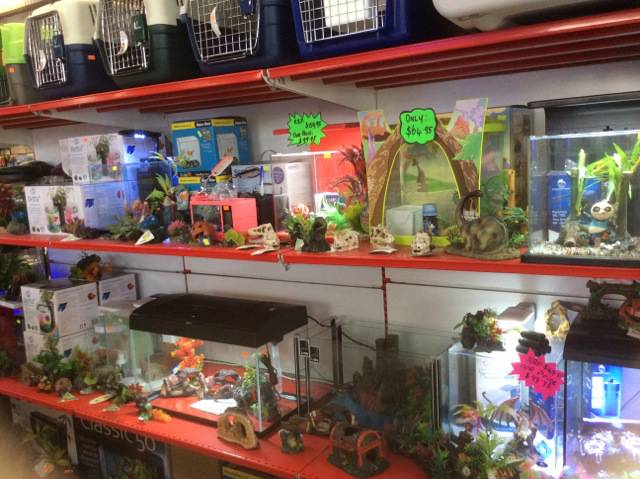 Car Accessories North Rockhampton QLD Renee