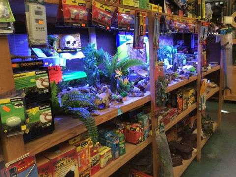 PJ’s Pet Barn - Renee 3