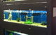 Illawarra Pet Supplies - thumb 0
