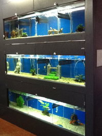 Illawarra Pet Supplies