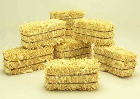Feed And Fodder - Renee 3