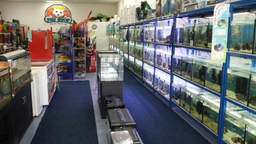 Pet Shops Currimundi QLD Renee
