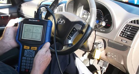 Hyundai Parts Queensland - Swimm 2