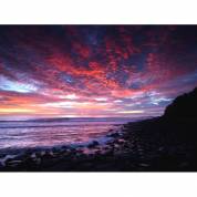 Art Galleries Burleigh Heads QLD Qld Realsetate