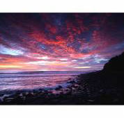 Ocean Art Australia - Renee