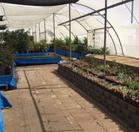 Mount Isa Home  Garden - Internet Find