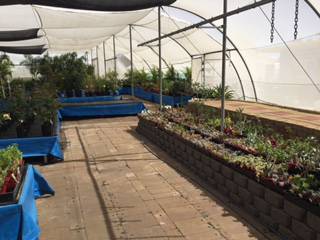 Mount Isa Home & Garden - Internet Find 0