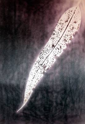 Art Quill & Co Pty Ltd - Renee 3