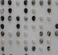 Northern Rivers Online Art Gallery NROAG - Renee