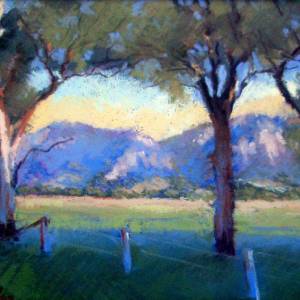 Galleries In The Gardens - Renee 3