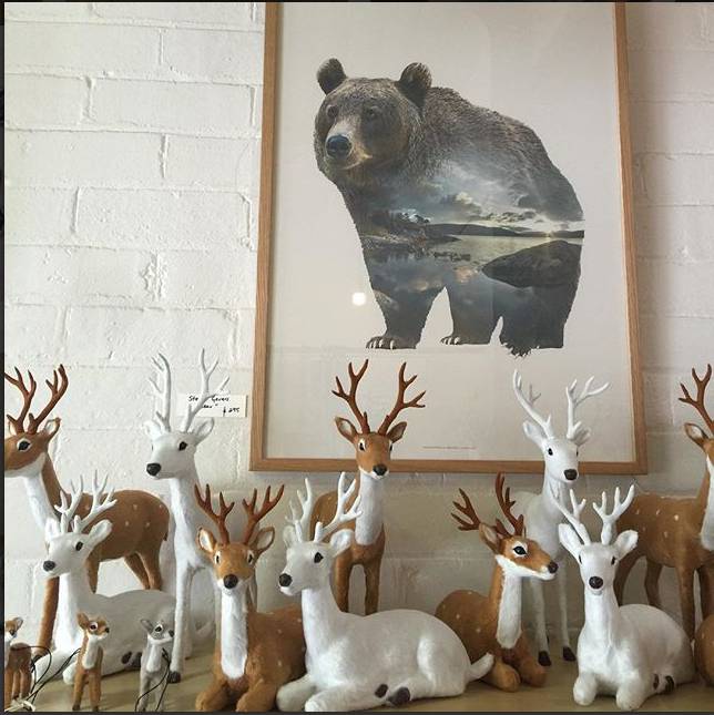 Art Galleries Moss Vale NSW Internet Find