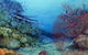 Landsborough Galleries - thumb 3