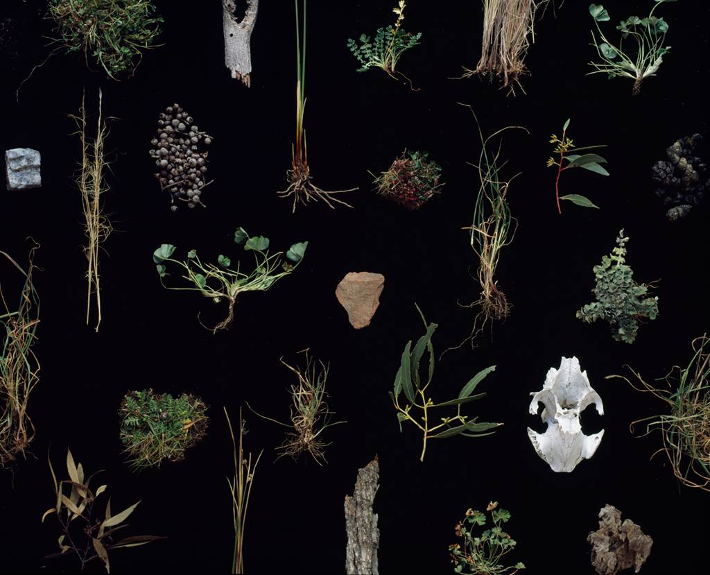 East Tamworth NSW Internet Find