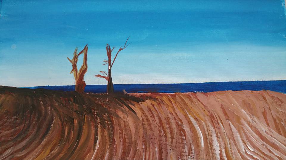 Art Galleries Diamond Beach NSW Qld Realsetate