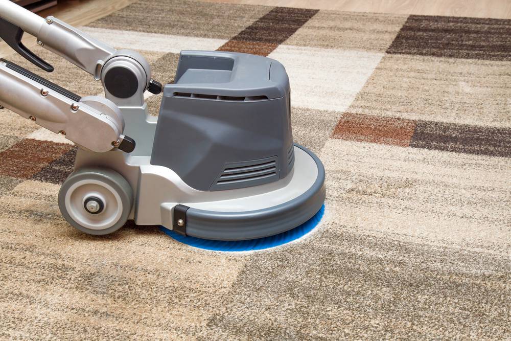 Carpet Cleaning Tumbi Umbi NSW Renee