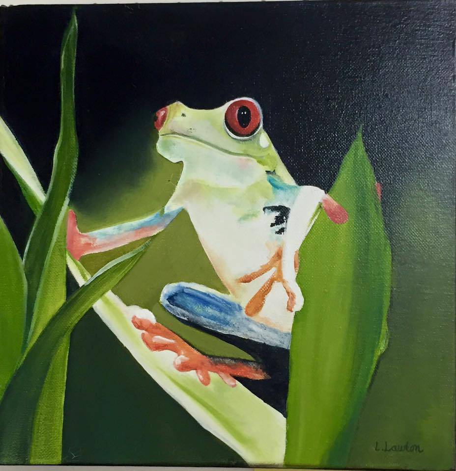 Art Galleries Gorokan NSW Internet Find