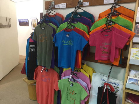 Leaping Lizards Gallery & Studio - Swimm 2