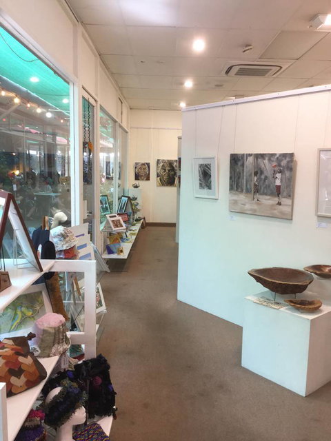 Leaping Lizards Gallery & Studio - Swimm 3