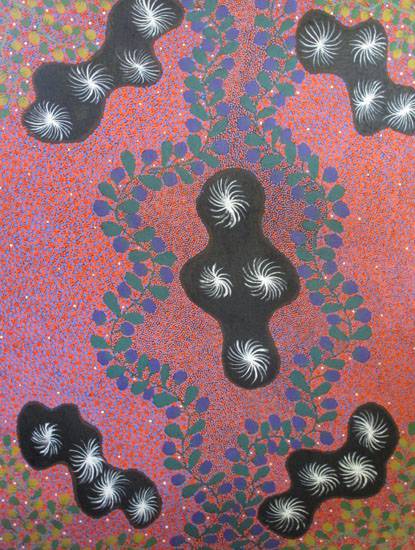 Ali Curung NT Internet Find