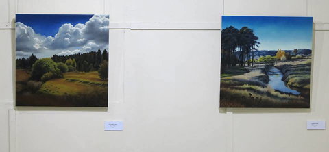 Armidale Framing & Art Supplies - Swimm 0