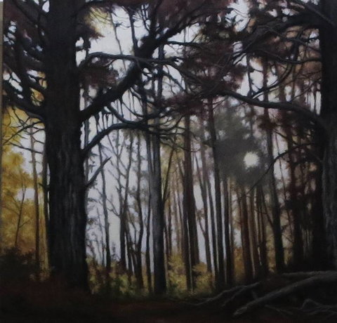 Armidale Framing & Art Supplies - Swimm 2