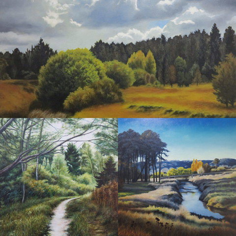 Armidale Framing & Art Supplies - Swimm 3