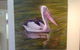 Wondai Regional Art Gallery - thumb 1