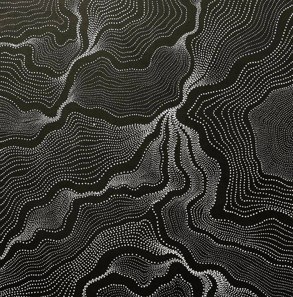 Art Dealers Port Douglas QLD Swimm