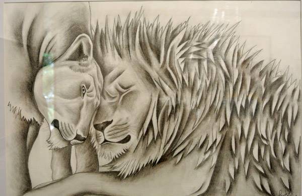 Artists Bellingen NSW Renee